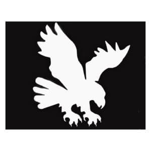 eagle landing