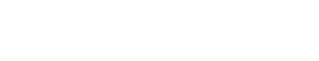 DuraFlap_Logo_L white
