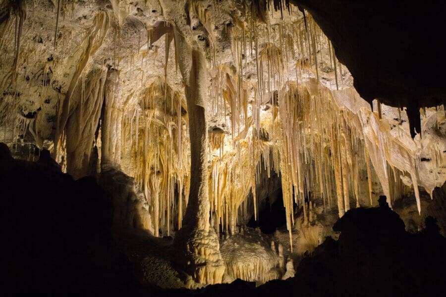 Spend time exploring the Carlsbad Caverns while RV camping in New Mexico.